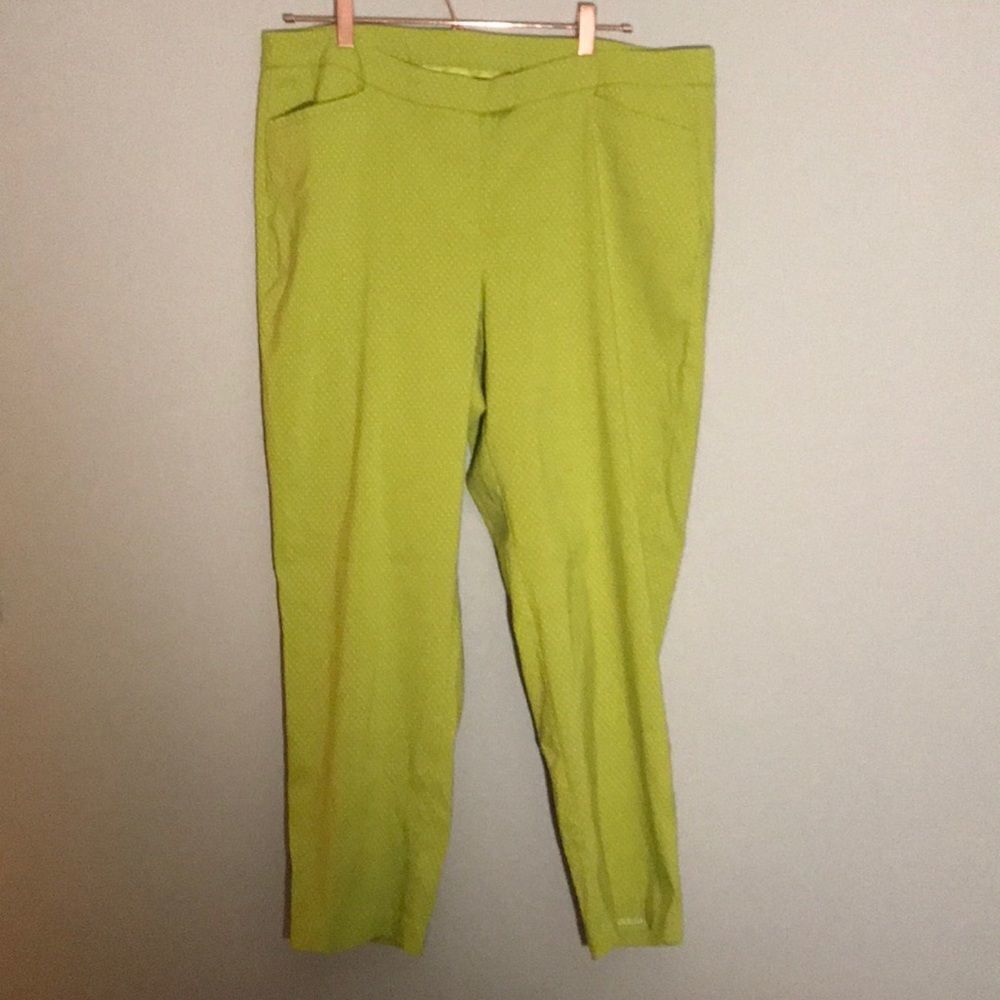 Lane Bryant work pants‎